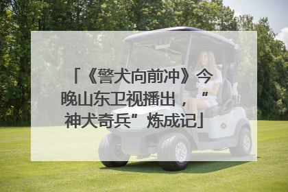 《警犬向前冲》今晚山东卫视播出，“神犬奇兵”炼成记