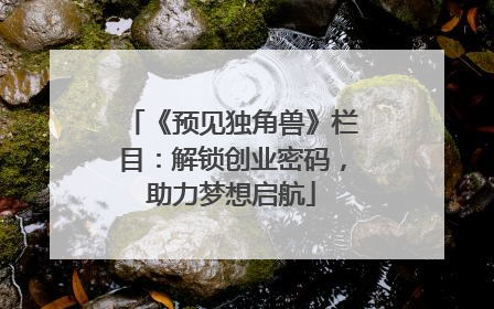 《预见独角兽》栏目：解锁创业密码，助力梦想启航