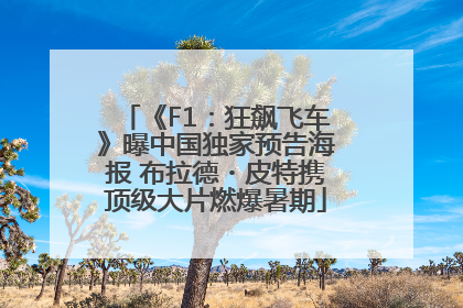 《F1：狂飙飞车》曝中国独家预告海报 布拉德・皮特携顶级大片燃爆暑期