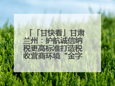 「甘快看」甘肃兰州：护航诚信纳税更高标准打造税收营商环境“金字招牌”