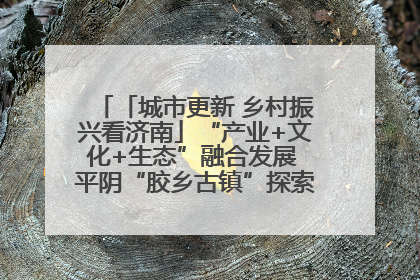 「城市更新 乡村振兴看济南」“产业+文化+生态”融合发展 平阴“胶乡古镇”探索振兴路径成效显著