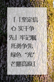 「坚定信心 实干争先」牢记嘱托勇争先 绿色“光”芒耀高原