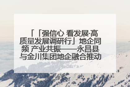 「强信心 看发展·高质量发展调研行」地企同频 产业共振——永昌县与金川集团地企融合推动重大项目建设