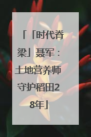 「时代脊梁」聂军：土地营养师守护稻田28年