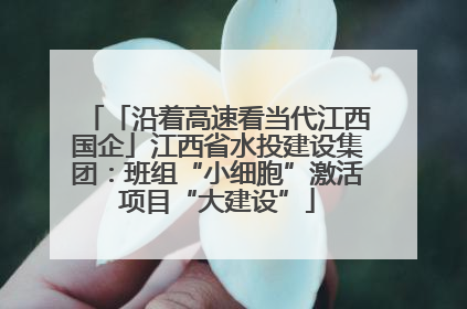 「沿着高速看当代江西国企」江西省水投建设集团：班组“小细胞”激活项目“大建设”
