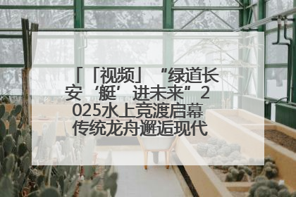 「视频」“绿道长安‘艇’进未来”2025水上竞渡启幕 传统龙舟邂逅现代赛艇演绎文旅新篇