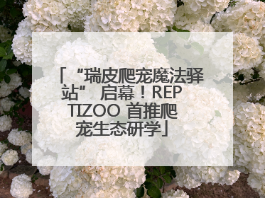 “瑞皮爬宠魔法驿站” 启幕！REPTIZOO 首推爬宠生态研学