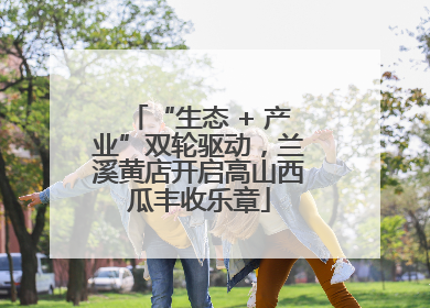 “生态 + 产业”双轮驱动，兰溪黄店开启高山西瓜丰收乐章