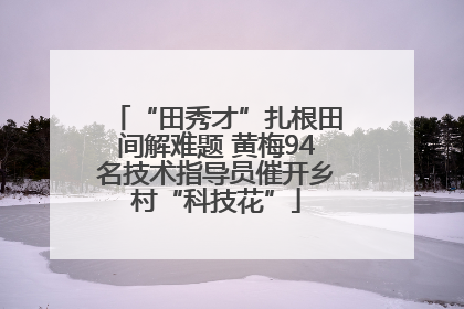 “田秀才”扎根田间解难题 黄梅94名技术指导员催开乡村“科技花”