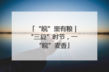 “皖”里有粮｜“三夏”时节，一“皖”麦香