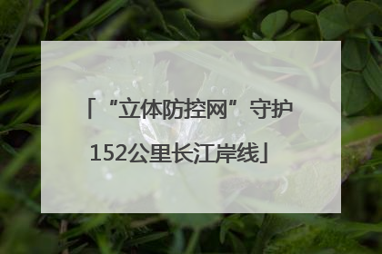 “立体防控网”守护152公里长江岸线