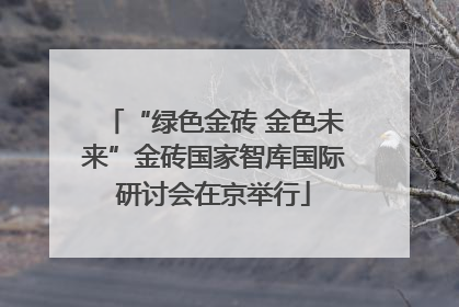 “绿色金砖 金色未来”金砖国家智库国际研讨会在京举行