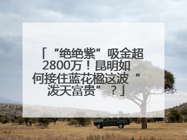 “绝绝紫”吸金超2800万！昆明如何接住蓝花楹这波“泼天富贵”？