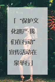 “保护文化遗产·我们在行动”宣传活动在泉举行