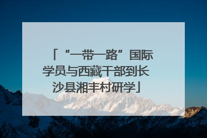 “一带一路”国际学员与西藏干部到长沙县湘丰村研学