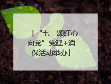 “七一颂红心向党”党建+消保活动举办