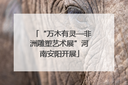 “万木有灵—非洲雕塑艺术展”河南安阳开展