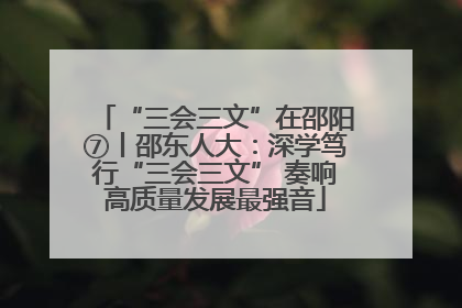 “三会三文”在邵阳⑦丨邵东人大：深学笃行“三会三文” 奏响高质量发展最强音