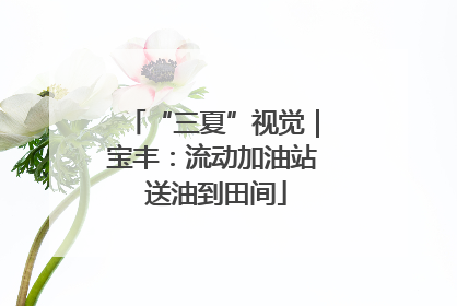 “三夏”视觉｜宝丰：流动加油站 送油到田间