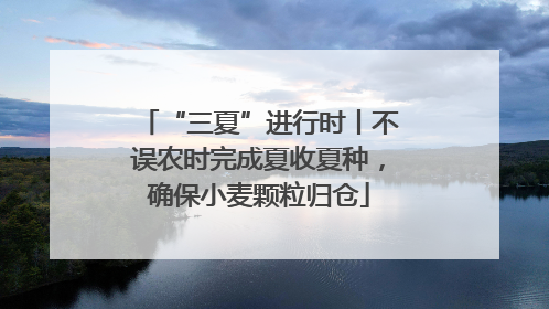 “三夏”进行时丨不误农时完成夏收夏种，确保小麦颗粒归仓