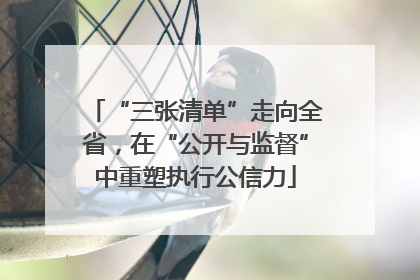 “三张清单”走向全省，在“公开与监督”中重塑执行公信力