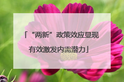“两新”政策效应显现 有效激发内需潜力