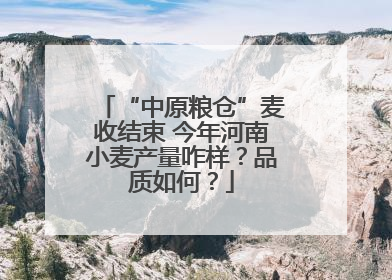 “中原粮仓”麦收结束 今年河南小麦产量咋样？品质如何？