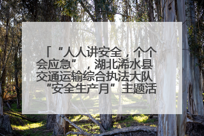 “人人讲安全，个个会应急”，湖北浠水县交通运输综合执法大队“安全生产月”主题活动取得成效