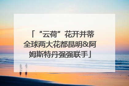 “云荷”花开并蒂 全球两大花都昆明&阿姆斯特丹强强联手