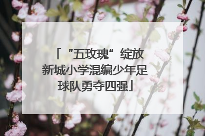 “五玫瑰”绽放 新城小学混编少年足球队勇夺四强
