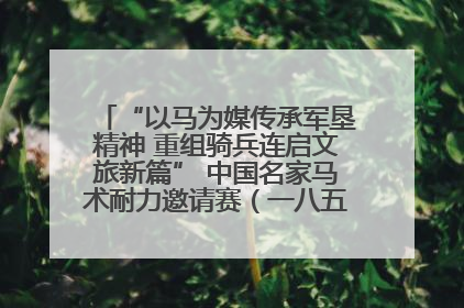 “以马为媒传承军垦精神 重组骑兵连启文旅新篇” 中国名家马术耐力邀请赛（一八五团站）暨重启骑兵连活动正式启动