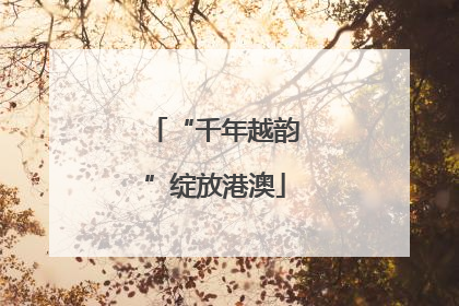 “千年越韵”绽放港澳