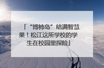“博柿岛”结满智慧果！松江这所学校的学生在校园里探险