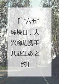 “六五”环境日，大兴廊坊携手共赴生态之约