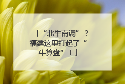 “北牛南调”？福建这里打起了“牛算盘”！