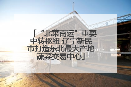 “北菜南运”重要中转枢纽 辽宁新民市打造东北最大产地蔬菜交易中心