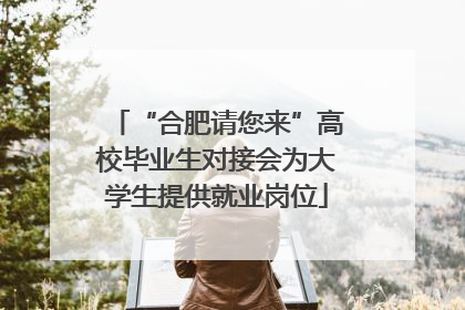 “合肥请您来”高校毕业生对接会为大学生提供就业岗位