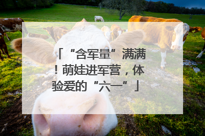 “含军量”满满！萌娃进军营，体验爱的“六一”