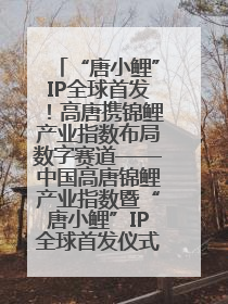 “唐小鲤”IP全球首发！高唐携锦鲤产业指数布局数字赛道——中国高唐锦鲤产业指数暨“唐小鲤”IP全球首发仪式在杭州举行