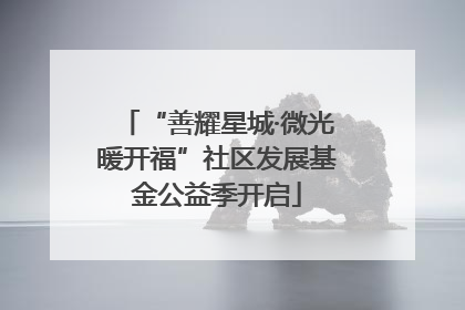“善耀星城·微光暖开福”社区发展基金公益季开启
