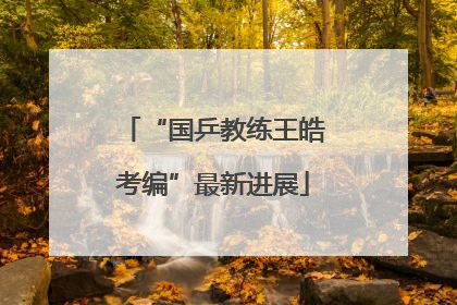 “国乒教练王皓考编”最新进展
