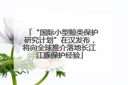 “国际小型鲸类保护研究计划”在汉发布，将向全球推介落地长江江豚保护经验