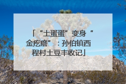 “土蛋蛋”变身“金疙瘩”：孙伯镇西程村土豆丰收记