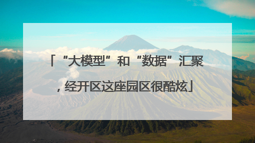 “大模型”和“数据”汇聚，经开区这座园区很酷炫