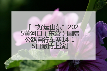 “好运山东”2025黄河口（东营）国际公路自行车赛14-15日激情上演
