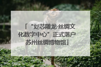 “彣芯雕龙·丝绸文化数字中心”正式落户苏州丝绸博物馆