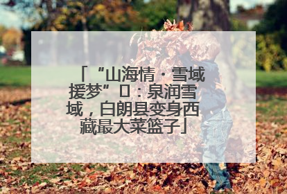 “山海情・雪域援梦”⑪：泉润雪域，白朗县变身西藏最大菜篮子
