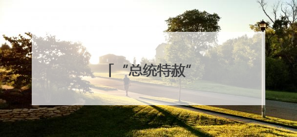 “总统特赦”要价多少美元