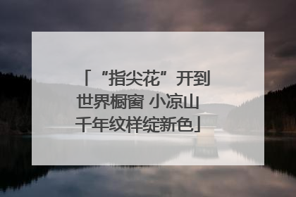 “指尖花”开到世界橱窗 小凉山千年纹样绽新色
