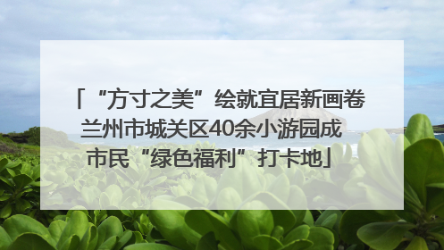 “方寸之美”绘就宜居新画卷 兰州市城关区40余小游园成市民“绿色福利”打卡地